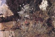 John William Waterhouse The Enchanted Garden USA oil painting reproduction